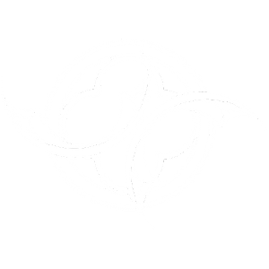 39-1.png