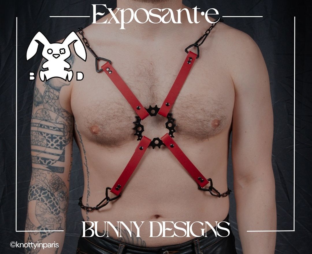 bunny designs
